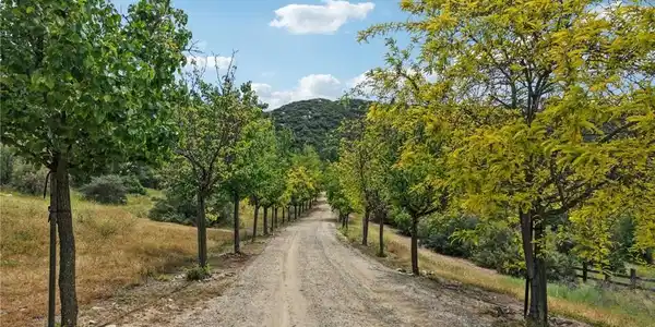 41225 Hacienda Drive