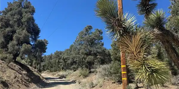 41112 Jack Rabbit Road