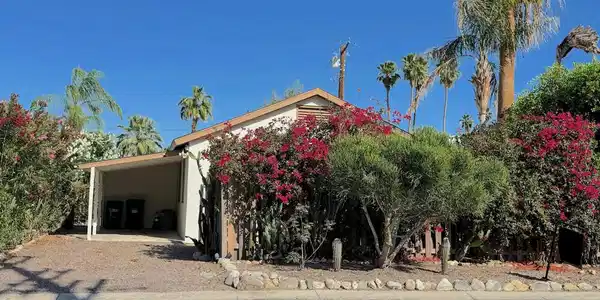 690 S Calle Palo Fierro