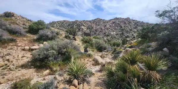 20 W Omega Trail
