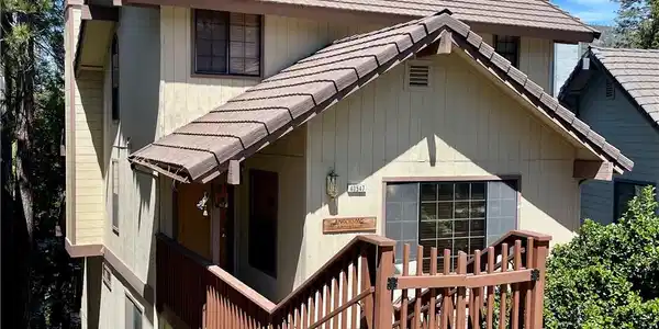 40547 Saddleback