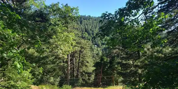 21858 Fern Canyon Road