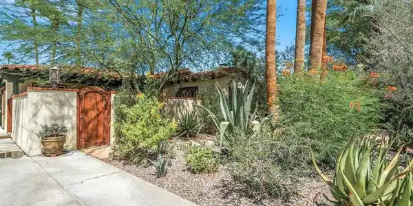Image 4