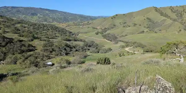 0 Panoche - Willow Springs
