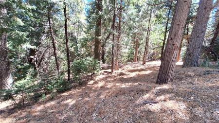 0 Cedar Pines