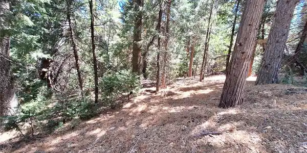 0 Cedar Pines
