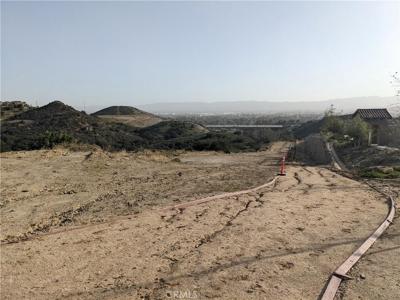 26 COYA Trail