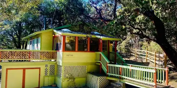 52735 Sugar Pine