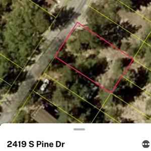 2419 Pine Drive