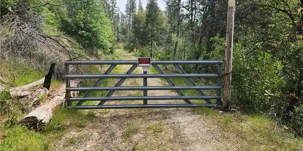 1977 Big Ridge