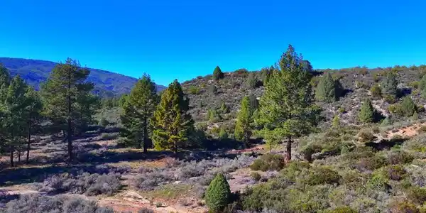 1 Butterfly Peak Road