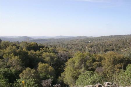 0 39.21 AC Ward Mountain Dr.