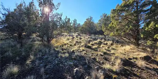 25 Quail Ridge