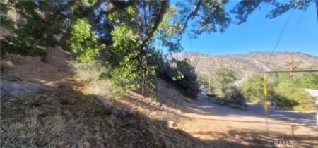 0 Pine Canyon