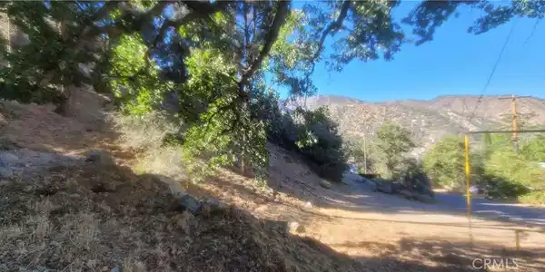0 Pine Canyon