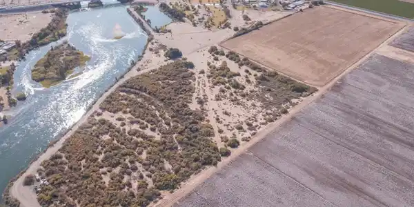 53.24 Acres