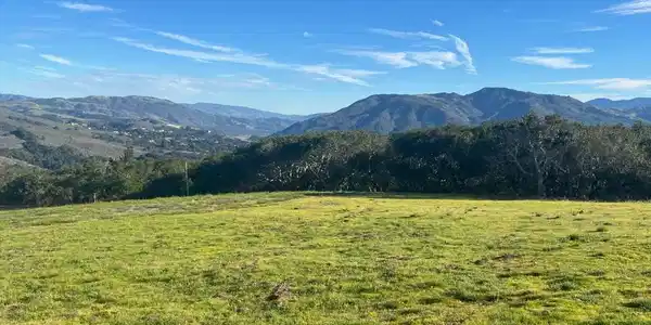 64 Marguerite (Tehama)