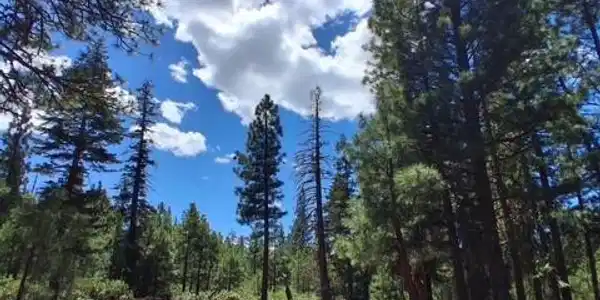 0 Quartz Lane
