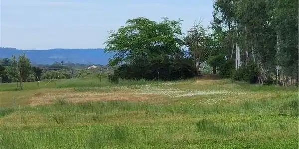0 Palermo-Honcut Hwy.