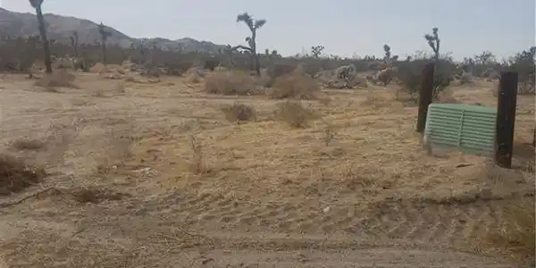 29 Palms