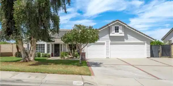 11775 Tilden