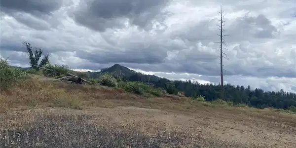 13770 Andover