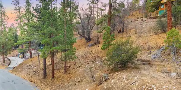 1237 Ridge Road