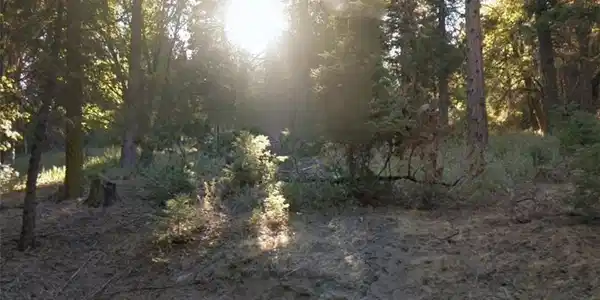 20 Burnt Mill Canyon Road