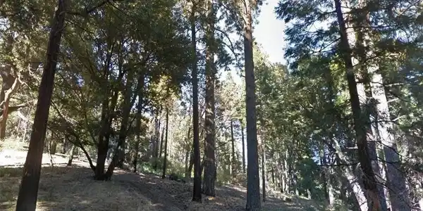 59 Mojave River Road