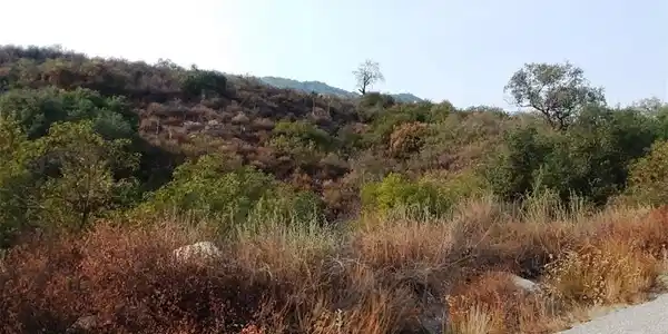 0 Carancho Road