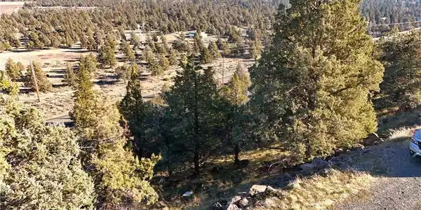 44 43 Dwinell Drive