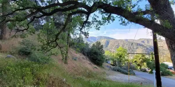 0 Pine Canyon