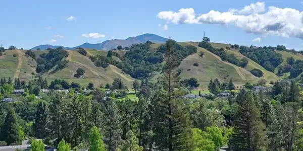 2600 Ptarmigan Dr