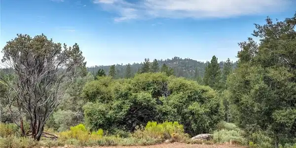 1539001 Vista Lago