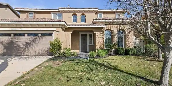27737 Hackberry