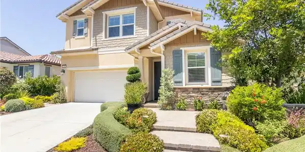 239 White Bark