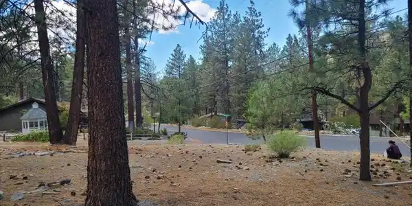 0 Lodgepole Drive