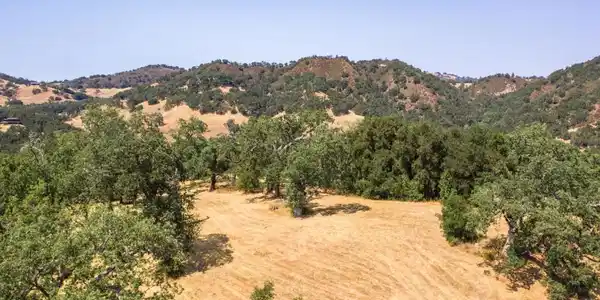 39 Arroyo Sequoia