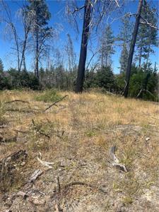 122 Simpson Ranch Road