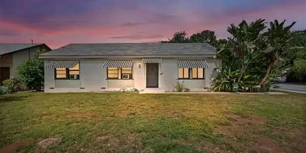 5305 Palm