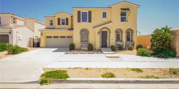 16243 Agave