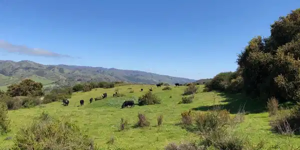 Creek Ranch, 36000 Carmel Valley Road
