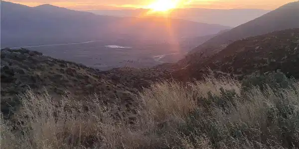 48850 Horse Trail Road