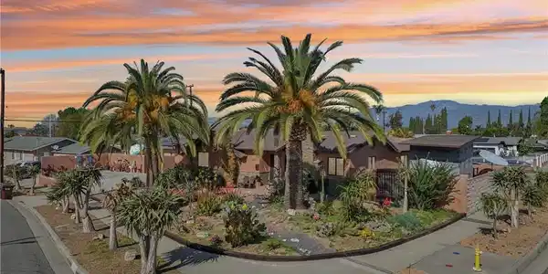 16559 Mcwood