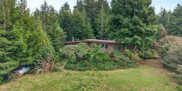 2900 Cameron Road
