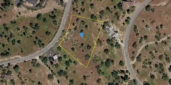 41100 Lilley Mountain