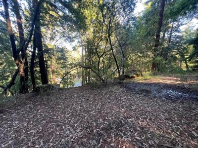 559 Patrol Road