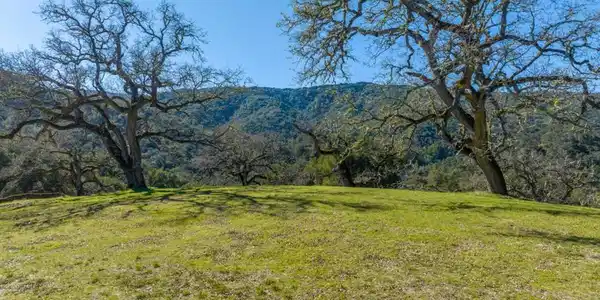 25 Arroyo Sequoia (Lot 108)