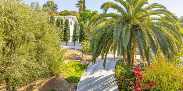 10272 Willow Springs Lane