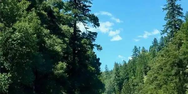 56120 Highway 101